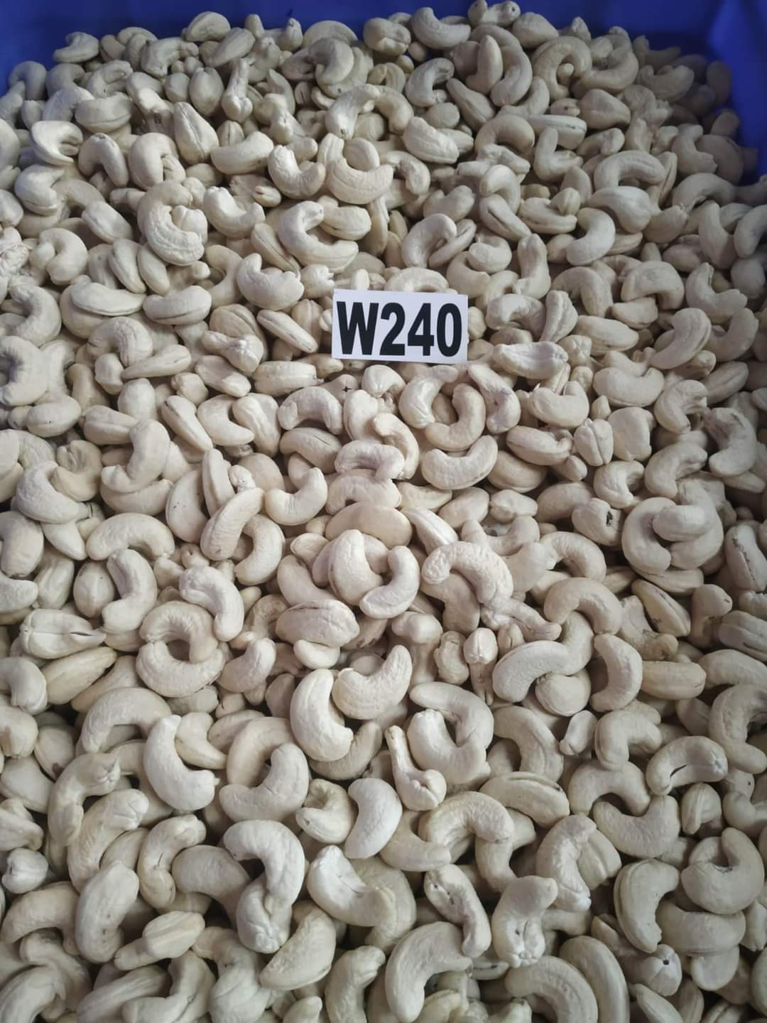 Kaju w240 image 1